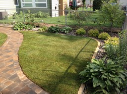 Backyard Path