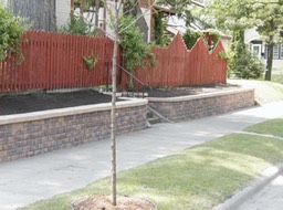 Capped Wall