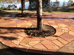 Enlarged Patio around Tree Grouping