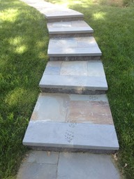 Front/Main Steps in Shade