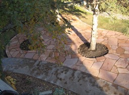 Overlook onto Patio Expansion