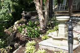 Plants and Fountain Detail