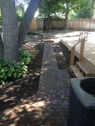 Timeworn Street Paver Path